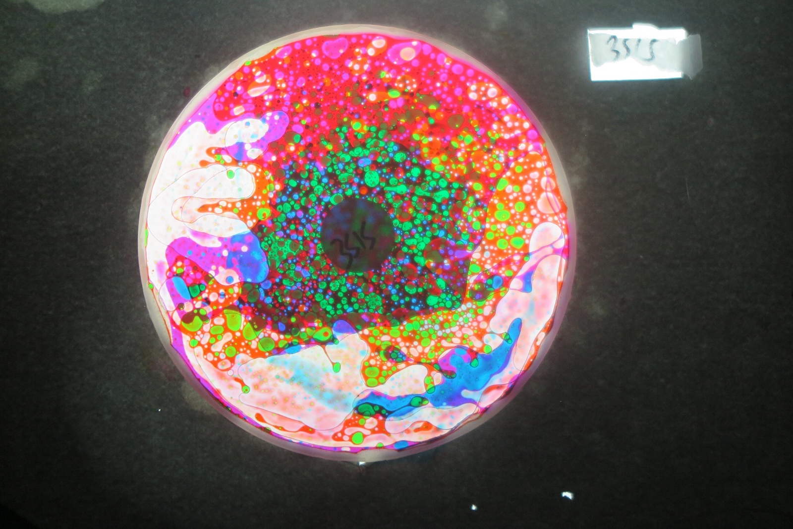 BV3515 bubble vision oil wheel